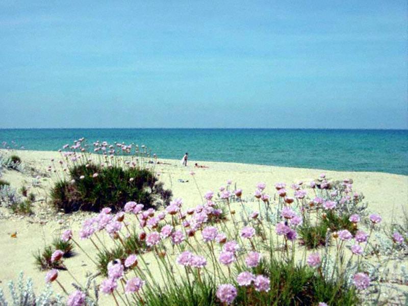 Sandalia 3* Nuoro (Sardinia)